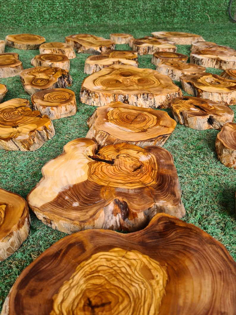 Pu&ograve; includere: Una collezione di fette di legno naturale di varie dimensioni, con venature visibili e bordi di corteccia. Le fette variano di colore, dal marrone chiaro al marrone scuro, mostrando le variazioni naturali del legno. Sono disposte su una superficie verde.