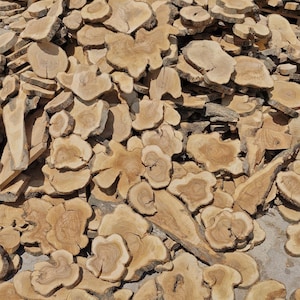 Pode incluir: Uma grande pilha de fatias de madeira natural, variando em tamanho e forma, com anéis de crescimento visíveis e uma cor castanha clara. Algumas fatias estão empilhadas, outras espalhadas, sugerindo um projeto de artesanato ou marcenaria.