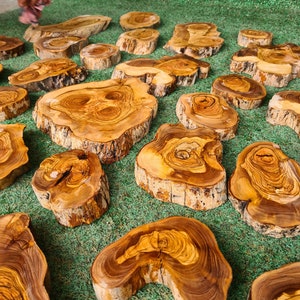 Pu&ograve; includere: Una collezione di fette di legno d'ulivo con bordi naturali, che mostrano ricchi toni marroni e beige. I motivi delle venature del legno sono visibili, con varie forme e dimensioni. Le fette sono disposte su una superficie verde, evidenziando la loro consistenza organica e il loro carattere unico.