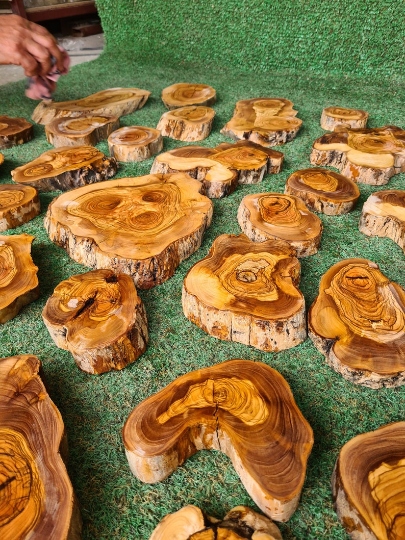 Pu&ograve; includere: Una collezione di fette di legno d'ulivo con bordi naturali, che mostrano ricchi toni marroni e beige. I motivi delle venature del legno sono visibili, con varie forme e dimensioni. Le fette sono disposte su una superficie verde, evidenziando la loro consistenza organica e il loro carattere unico.