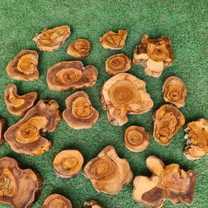 Pu&ograve; includere: Una collezione di sottobicchieri in legno di forma irregolare con venature visibili e varie tonalit&agrave; di marrone. I sottobicchieri sono disposti su una superficie verde, mettendo in risalto le loro tonalit&agrave; naturali. Ideali per l'arredamento della casa.