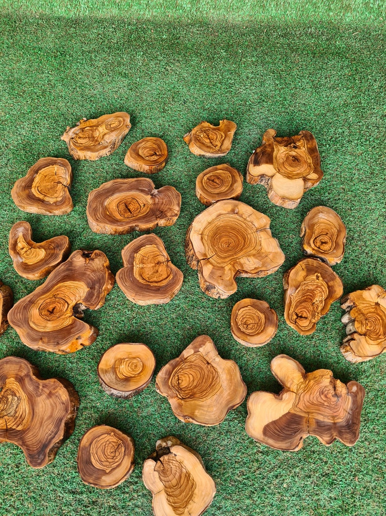 Pu&ograve; includere: Una collezione di sottobicchieri in legno di forma irregolare con venature visibili e varie tonalit&agrave; di marrone. I sottobicchieri sono disposti su una superficie verde, mettendo in risalto le loro tonalit&agrave; naturali. Ideali per l'arredamento della casa.