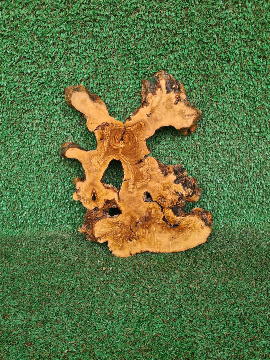 16'' Olive Wood Slab , Live Edge Olive Wood Slice, Raw Edge Wood Cookie