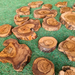 Pu&ograve; includere: Una collezione di sottobicchieri in legno di forma irregolare, con motivi di venature naturali. I sottobicchieri, di varie dimensioni, presentano tonalit&agrave; marroni chiare e scure. Sono disposti su una superficie verde, creando un'estetica rustica e naturale.