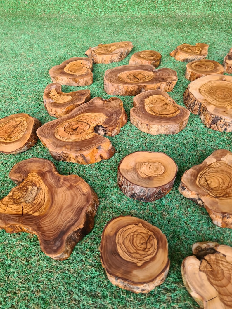 Pu&ograve; includere: Una collezione di sottobicchieri in legno di forma irregolare, con motivi di venature naturali. I sottobicchieri, di varie dimensioni, presentano tonalit&agrave; marroni chiare e scure. Sono disposti su una superficie verde, creando un'estetica rustica e naturale.