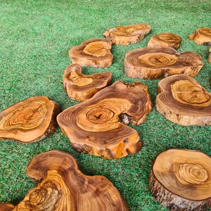 Pu&ograve; includere: Una collezione di fette di legno di forma irregolare, con anelli di crescita visibili. Le fette presentano diverse sfumature di marrone e beige, mettendo in risalto le venature naturali del legno. Sono disposte su una superficie verde, creando un effetto rustico e naturale.