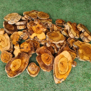Pu&ograve; includere: Un insieme di fette di legno di forma irregolare, con motivi di venature visibili. Le fette, in tonalit&agrave; marrone e beige, sono disposte su una superficie verde strutturata. L'insieme evoca un tema rustico e naturale. I pezzi di legno variano in dimensioni.