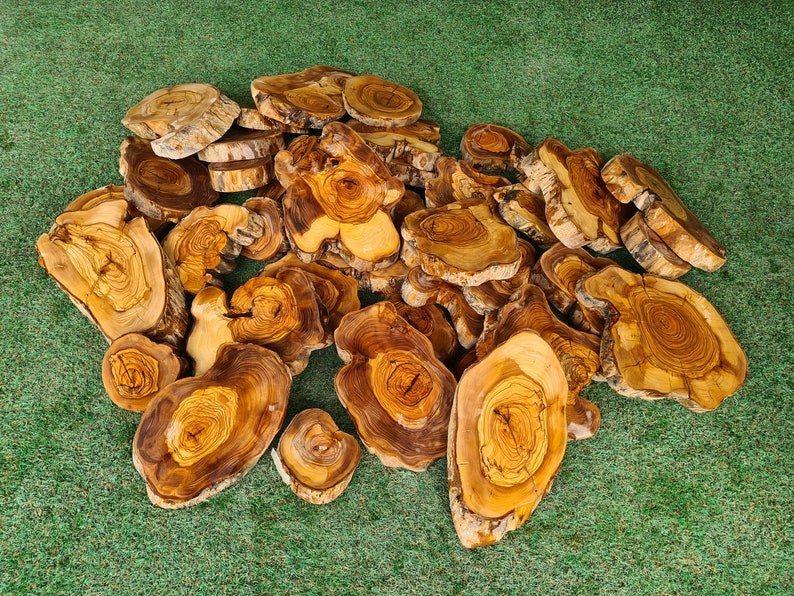 Pu&ograve; includere: Un insieme di fette di legno di forma irregolare, con motivi di venature visibili. Le fette, in tonalit&agrave; marrone e beige, sono disposte su una superficie verde strutturata. L'insieme evoca un tema rustico e naturale. I pezzi di legno variano in dimensioni.