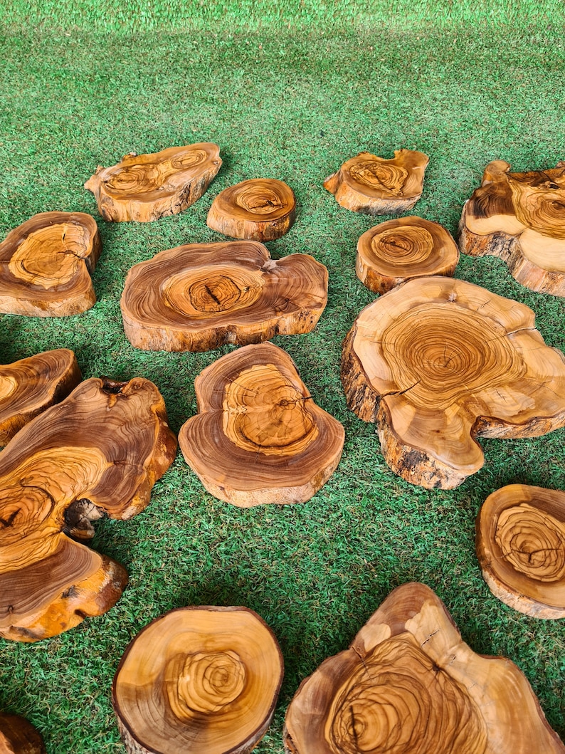 Pu&ograve; includere: Una collezione di sottobicchieri in legno di forma irregolare con motivi naturali di venature. I sottobicchieri variano per dimensioni e forma, mostrando le caratteristiche uniche del legno. La tavolozza dei colori comprende tonalit&agrave; di marrone e beige.
