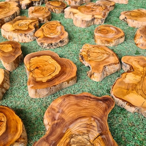 Pu&ograve; includere: Una collezione di fette di legno di forma irregolare con venature visibili. Le fette variano in dimensioni e forma, mostrando una gamma di tonalit&agrave; marroni e beige calde. Sono disposte su una superficie verde erbosa, suggerendo un tema rustico.