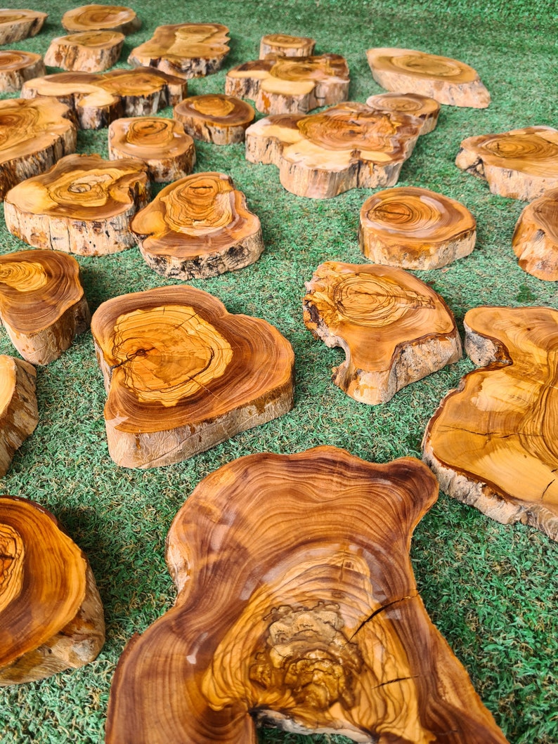 Pu&ograve; includere: Una collezione di fette di legno di forma irregolare con venature visibili. Le fette variano in dimensioni e forma, mostrando una gamma di tonalit&agrave; marroni e beige calde. Sono disposte su una superficie verde erbosa, suggerendo un tema rustico.