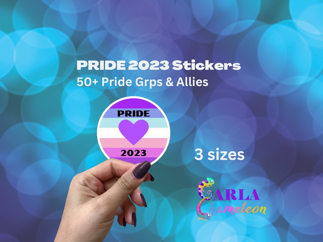 T4T Pride Flag 2023 Circle Sticker Trans for Trans Sticker Etsy