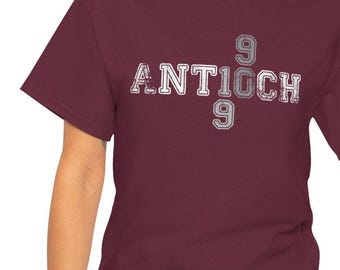 ACHS 1990 Reunion! Unisex T-shirt, Sweatshirt or Long Sleeve T-shirt