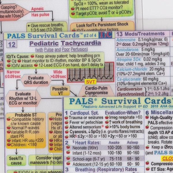 PALS (Advanced Cardiac Life Support) Überlebenskarten Kurzanleitung Lernführer - 4 Karten Set, laminiert / gelocht, wasserfest