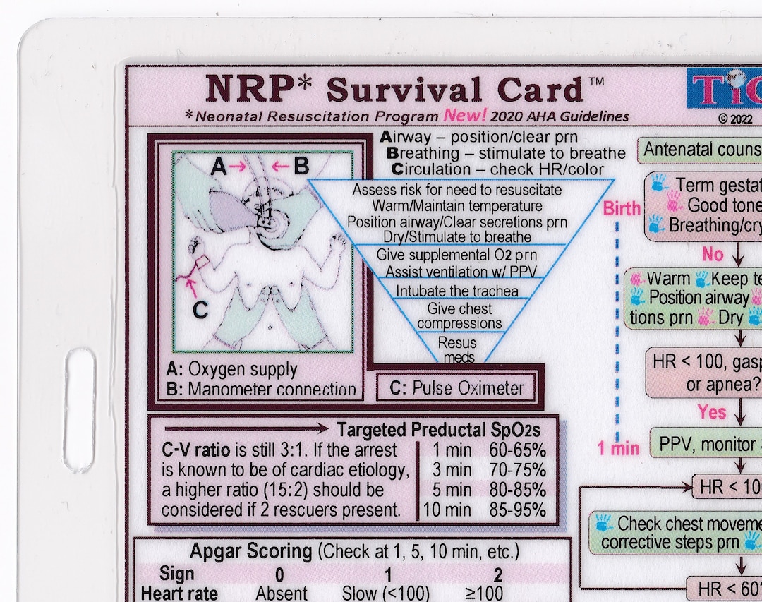 Nrp Neonatal Resuscitation Program Survival Card Quick Etsy 