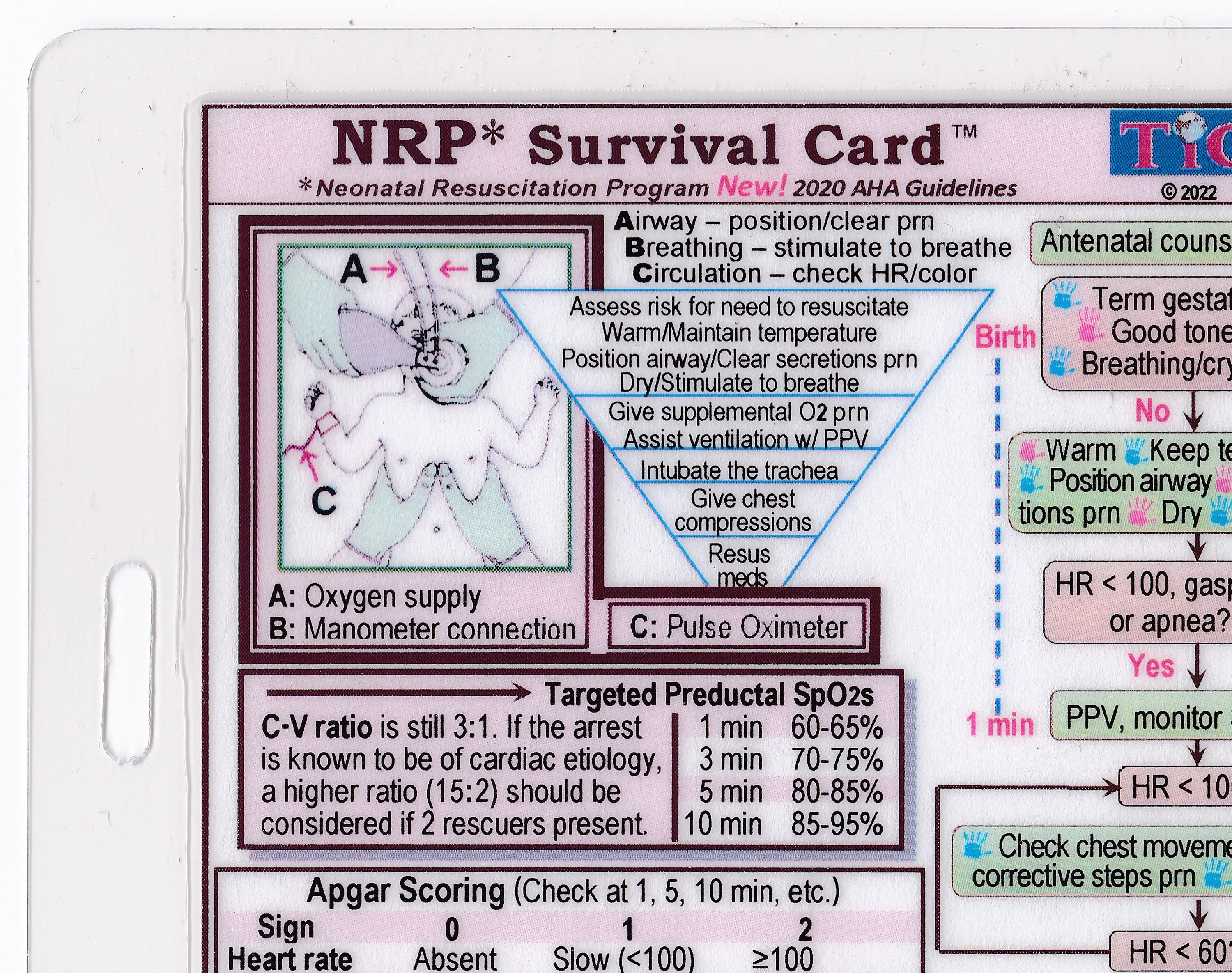 NRP (Neonatal Resuscitation Program) SURVIVAL CARD Quick Reference