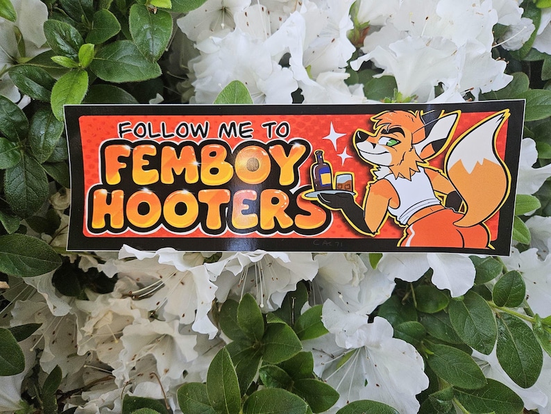 Femboy Hooters Bumper Sticker image 4