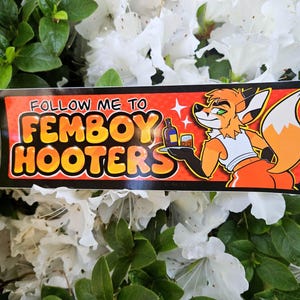May include: A sticker with the text "FOLLOW ME TO FEMBOY HOOTERS" in yellow and orange. It features a cartoon fox character holding a tray with a bottle and a glass. The background is red with white stars.