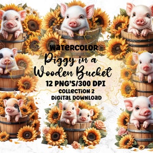 Cochons aux tournesols PNG transparents | Lot de 12 | Parfait pour la sublimation, la fabrication de cartes et l'art mural