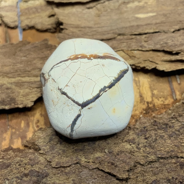 KRIO® – 1 x Sternachat aus Australien "Thunder Egg" (1 - 10)