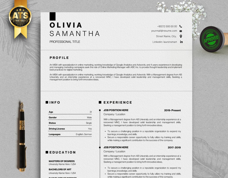 ATS Friendly Resume Template for Canva CV Template Easy - Etsy