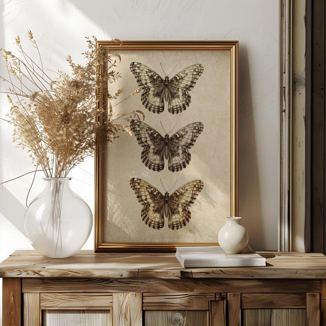 Vintage Butterfly Wall Art Print - Antique Insect Illustration for ...