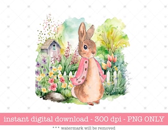 Peter Rabbit Spring PNG, Retro Sublimation, Kids DTF Transfer (Digital Download)