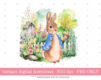 Peter Rabbit Spring Sublimation PNG, Kids DTF Transfer (Digital Download)