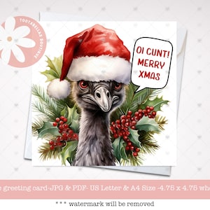 以下が含まれることがあります： サンタ帽をかぶったエミュー、ヒイラギとベリーが描かれたクリスマスカード。吹き出しには「OI CUNT！MERRY XMAS」と書かれています。カードは正方形です。