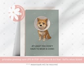 Funny Get Well Card Printable, Dog Cone Post Surgery Humor, 5x7 Instant Download, Pet Lover Get Well Soon PDF JPG