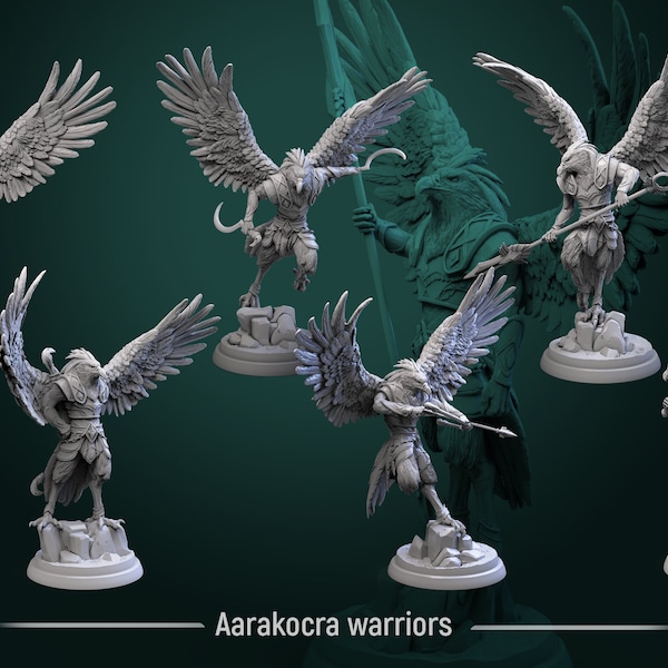 Aarakocra warriors | bird folk | Aarakocra miniature | Dungeons and dragons | pathfinder | fantasy miniature | DnD| valentines gift