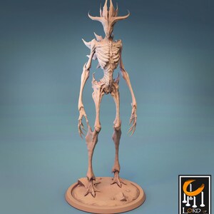 Mantis, Lord of the print | 50 mm base | Dungeons and dragons | pathfinder |  fantasy miniature | DnD | valentines gift