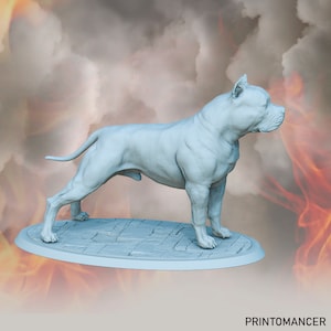 American Bull terrier | Dog miniature | American dog species | D&D | Dungeons and dragons | Pathfinder | Bully| valentines gift