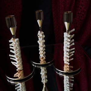 May include: Three candle holders featuring a vertical stack of off-white, bone-like vertebrae segments as the central stem. Each holder has a polished gold-tone metal base and a matching gold-tone metal cup at the top for holding a taper candle.