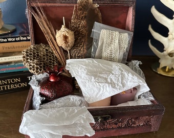 Oddity nature alter box kit, curated bone alter box