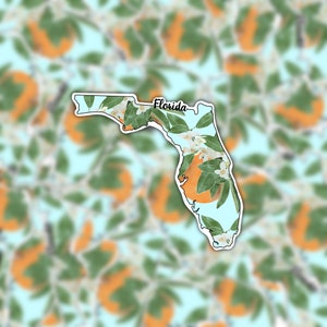 | d’autocollants de fleurs de l’État de Floride | autocollant de fleur d’oranger | d’autocollants de Floride | d’autocollant de fleur d’État | autocollant orange Autocollant floral