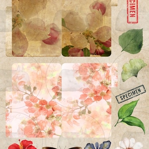 May include: A digital collage featuring vintage-style floral illustrations, including pink and white blossoms, a butterfly, and a hibiscus flower. The collage is decorated with green leaves and two red stamps that say "SPECIMEN".