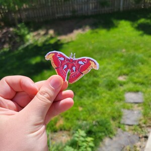 May include: A red and yellow paper butterfly with a detailed design. The butterfly is held in a hand against a green grassy background.