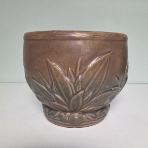 May include: A brown ceramic planter with a detailed leaf design. The planter has a wide, rounded shape with a decorative base. The leaves are embossed around the lower half of the planter, adding texture and visual interest.