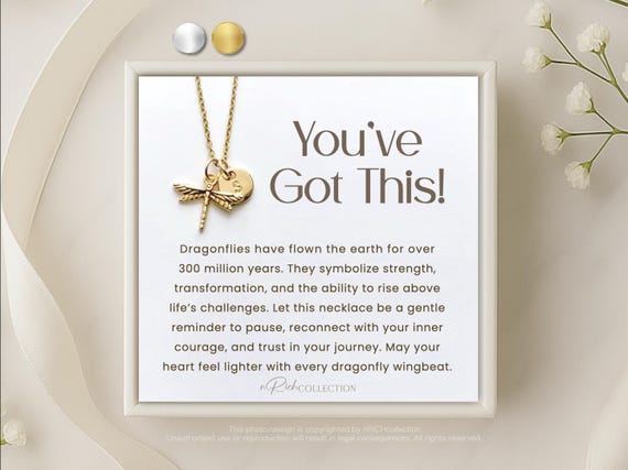 Tough Time Gift for Woman Friends Divorce Single Mom Recovery Gift Positivity Support Dragonfly Necklace Encouragement Gift You’ve got this