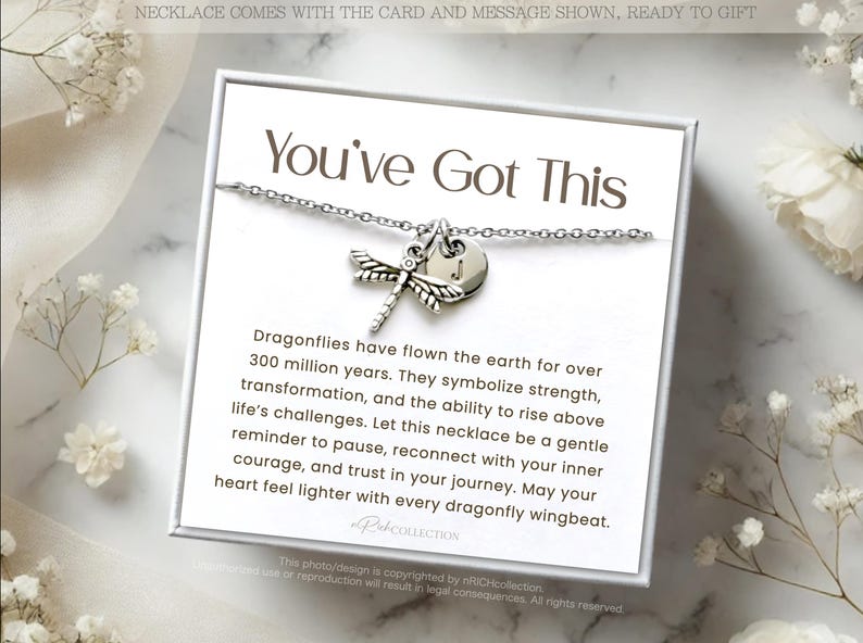 May include: A white card with the text "You've Got This" and a silver dragonfly necklace with a charm. The card includes a message about dragonflies symbolizing strength and transformation.