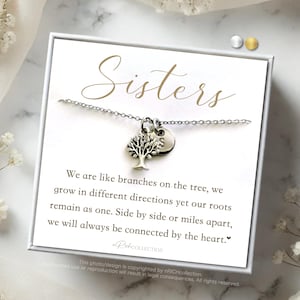 Personalized birthday gift for Sisters birthstone Necklace Sister mothers day Gift for Sister best friend gift 1 2 3 sisters gifts for her