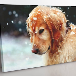 Labrador Retriever Canvas Print: Framed Dog Wall Art
