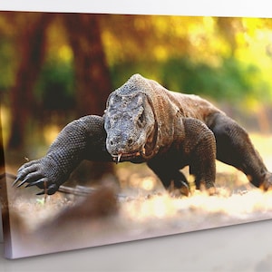 Komodowaran Leinwanddruck: Gerahmte Eidechsenwandkunst