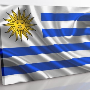 Uruguay Flag Canvas Wall Art, Uruguayan Flag Print Home Decor Wall Art, Aesthetic Room Decor Uruguay Gift For Office, Living Room Art Print