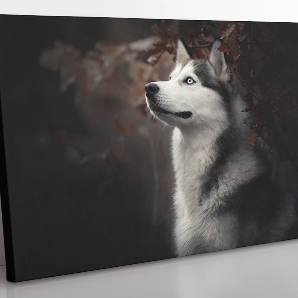 Siberian Husky Art Etsy