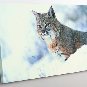 Eurasian Lynx In Snow Canvas Wall Art, Large Framed Cat Print Home Decor Wall Art, Aesthetic Room Decor Lynx Canvas Print, Nature Wall Art.
