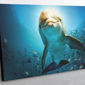 Dolphin Canvas Print: Large Framed Wall Art