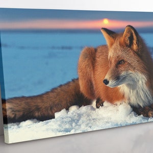 Fuchs im Schnee Landschaft Leinwand Wandkunst, große gerahmte Tier Leinwand Druck Home Decor Wandkunst, Ästhetisches Zimmer Dekor Natur Wandkunst.