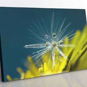 Dandelion Canvas Print: Large Framed Floral Wall Art